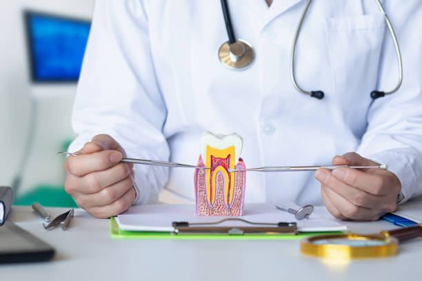 Best Emergency Root Canal Treatment in Schoolcraft, MI